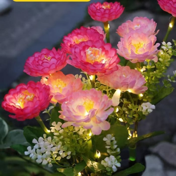 Set 2 Lămpi Solare - Bujori